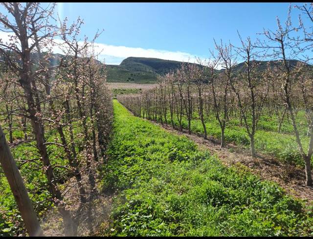 FARM FOR SALE IN MONTAGU